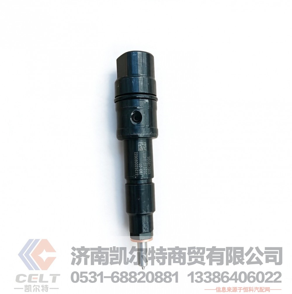 喷油器总成612630090022 重汽潍柴WP12发动机燃油泵喷油嘴喷油器