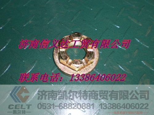 WG79000320013,凸缘螺母,济南凯尔特商贸有限公司