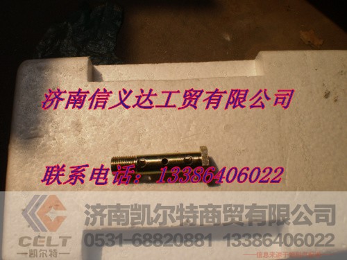 AZ9003961670,空心螺絲,濟南凱爾特商貿有限公司