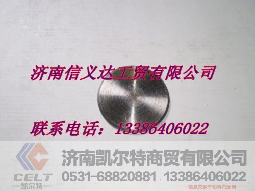 AZ9125411032,轉(zhuǎn)向節(jié)防塵蓋,濟南凱爾特商貿(mào)有限公司