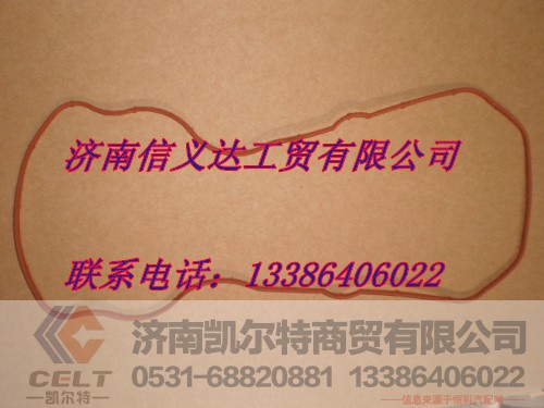 VG10990040052,摇臂下罩密封圈,济南凯尔特商贸有限公司