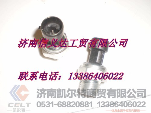 VG1092090311,機油感應(yīng)器,濟南凱爾特商貿(mào)有限公司