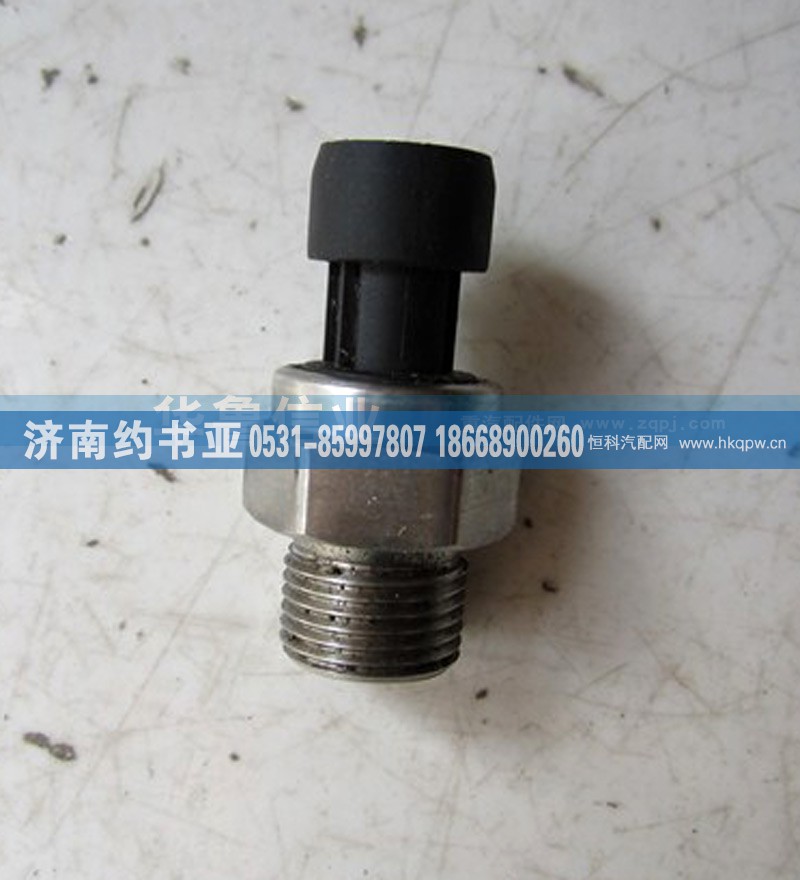 VG1092090311,電子式機(jī)油壓力傳感器VG1092090311,濟(jì)南約書亞汽車配件有限公司（原華魯信業(yè)）
