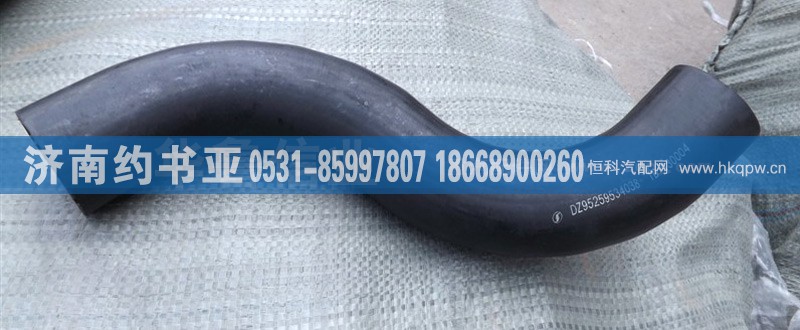 DZ95259534038管子