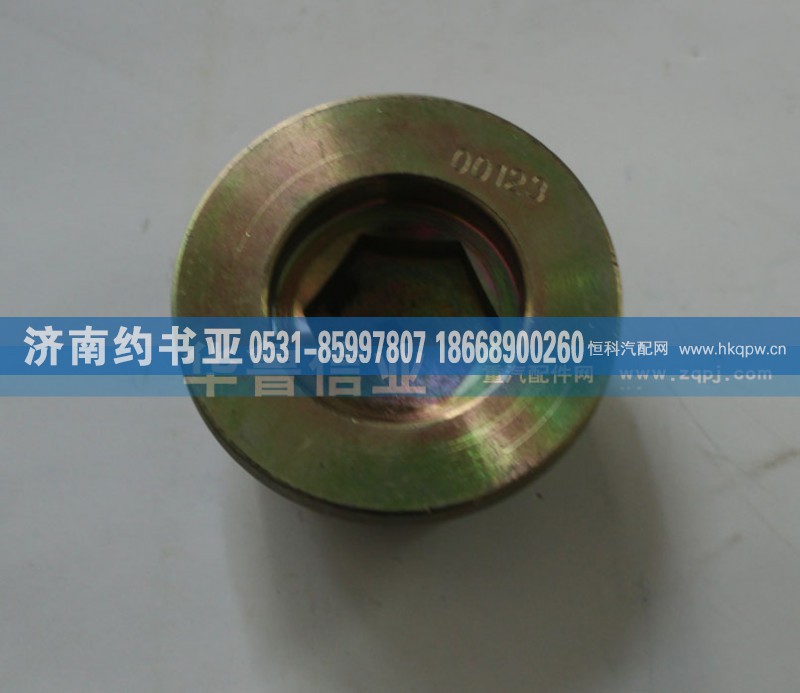WG9981340006,AC16放油螺丝,济南约书亚汽车配件有限公司（原华鲁信业）
