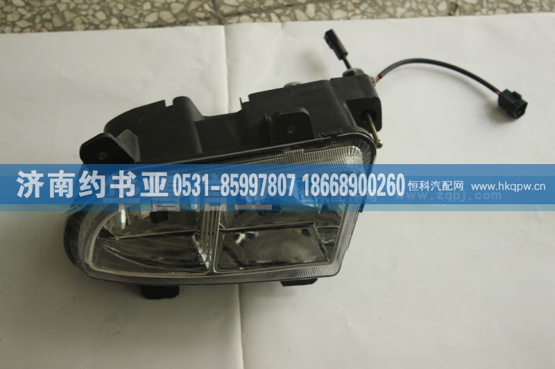 WG9719720025,前组合灯 左,济南约书亚汽车配件有限公司（原华鲁信业）