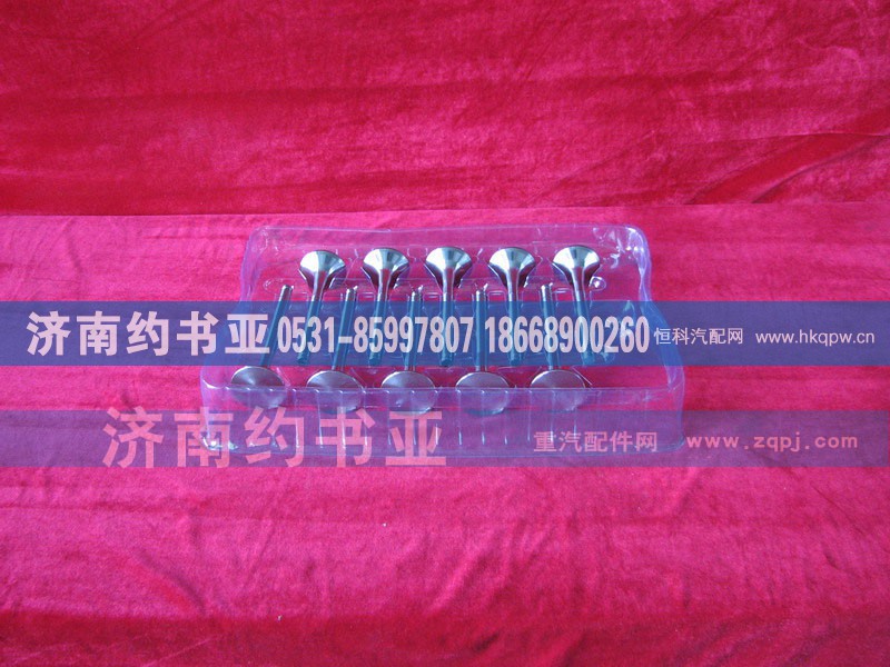 VG1560050027,排气门,济南约书亚汽车配件有限公司（原华鲁信业）