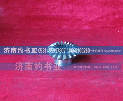 199012320009,半轴齿轮,济南约书亚汽车配件有限公司（原华鲁信业）