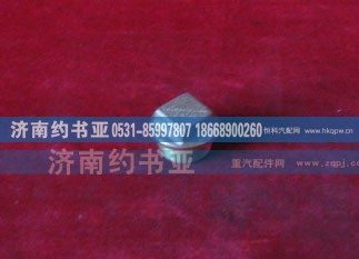 VG2600150108,磁性螺塞总成,济南约书亚汽车配件有限公司（原华鲁信业）