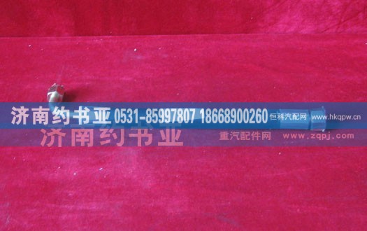 WG9100470107,高壓軟管,濟(jì)南約書(shū)亞汽車配件有限公司（原華魯信業(yè)）