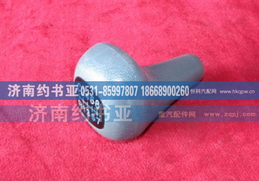 AZ9123240214,变速器换档手柄及档位标牌总成,济南约书亚汽车配件有限公司（原华鲁信业）