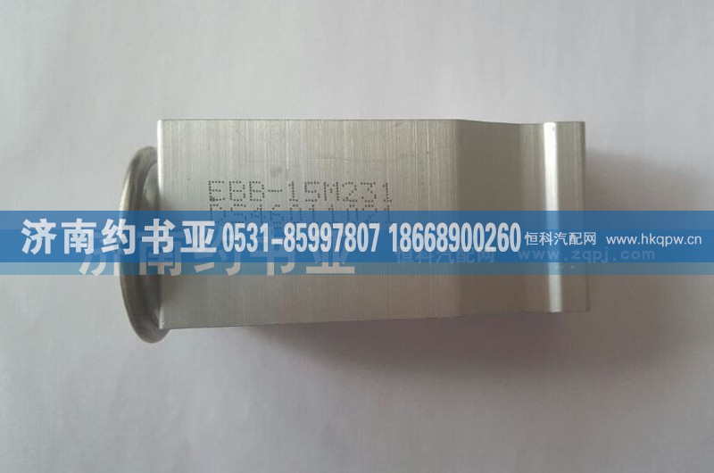 DZ13241821115,膨脹閥,濟(jì)南約書亞汽車配件有限公司（原華魯信業(yè)）