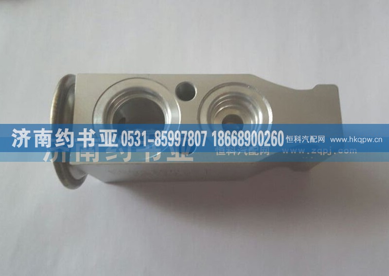 DZ13241821115,膨脹閥,濟(jì)南約書亞汽車配件有限公司（原華魯信業(yè)）