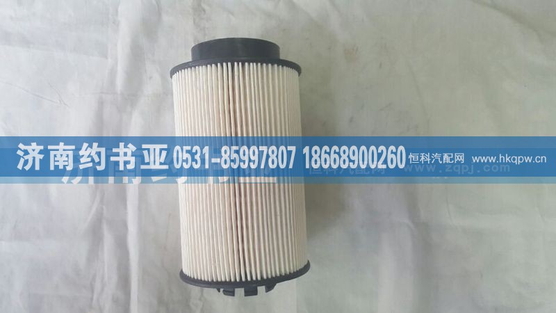 201V12503-0061,燃油滤清器芯T7H,济南约书亚汽车配件有限公司（原华鲁信业）