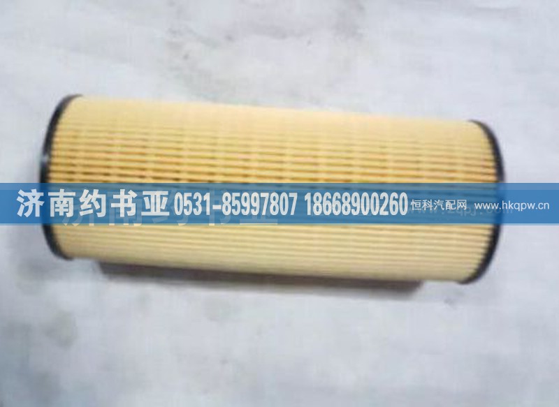 201V12503-0061,燃油滤清器芯 带O形圈（MC11、MC07）（T7H）,济南约书亚汽车配件有限公司（原华鲁信业）