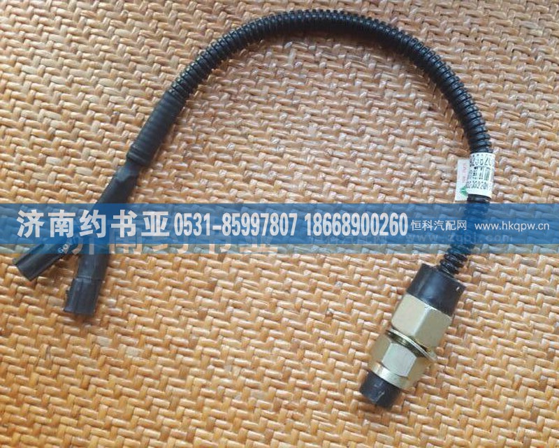 WG9925820032,A7舉升泵開(kāi)關(guān)總成,濟(jì)南約書(shū)亞汽車(chē)配件有限公司（原華魯信業(yè)）