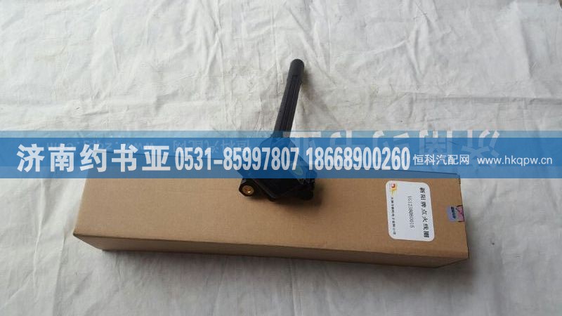 VG1238080015,点火线圈总成,济南约书亚汽车配件有限公司（原华鲁信业）