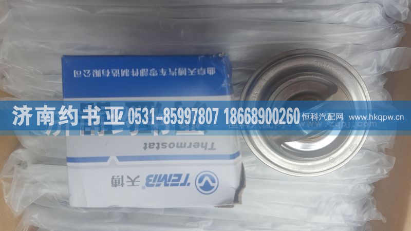 61800061040,节温器心,济南约书亚汽车配件有限公司（原华鲁信业）