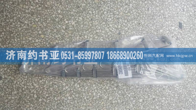 VG1246080002高壓油管