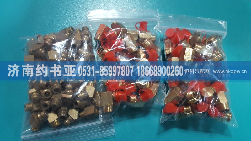 AZ9003963022,黄油嘴总成,济南约书亚汽车配件有限公司（原华鲁信业）