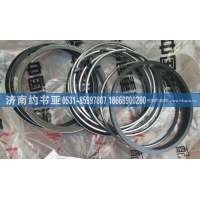 080V02503-6810,活塞環(huán)套件（MC07),濟(jì)南約書亞汽車配件有限公司（原華魯信業(yè)）