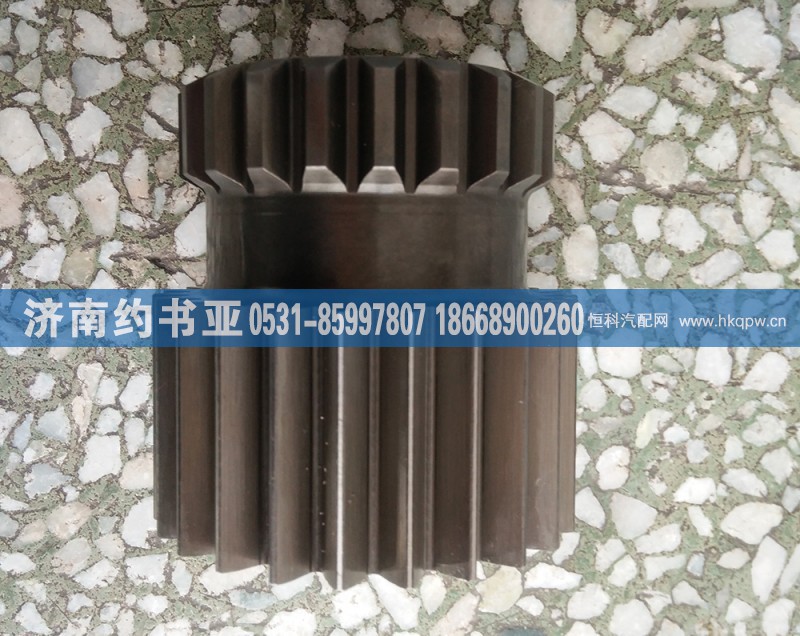 WG2210100045太阳轮（斜齿用）