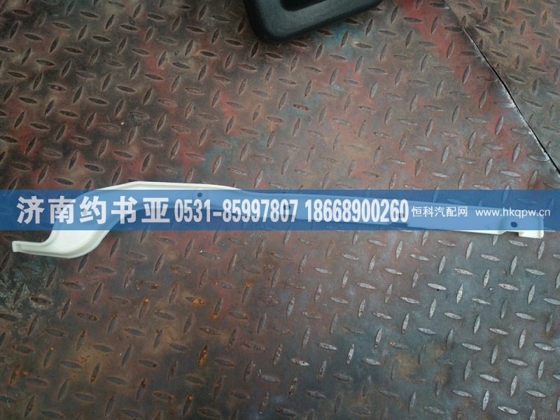 WG1684240723保险杠装饰板