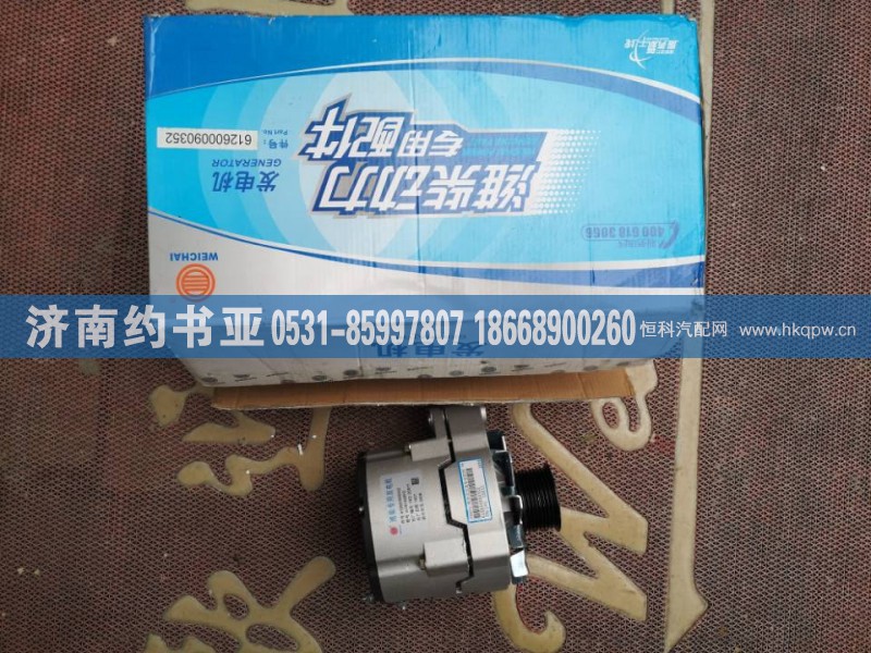 WD61260090352发电机