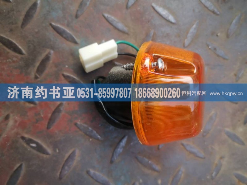 NZ9525790030叶子板边灯