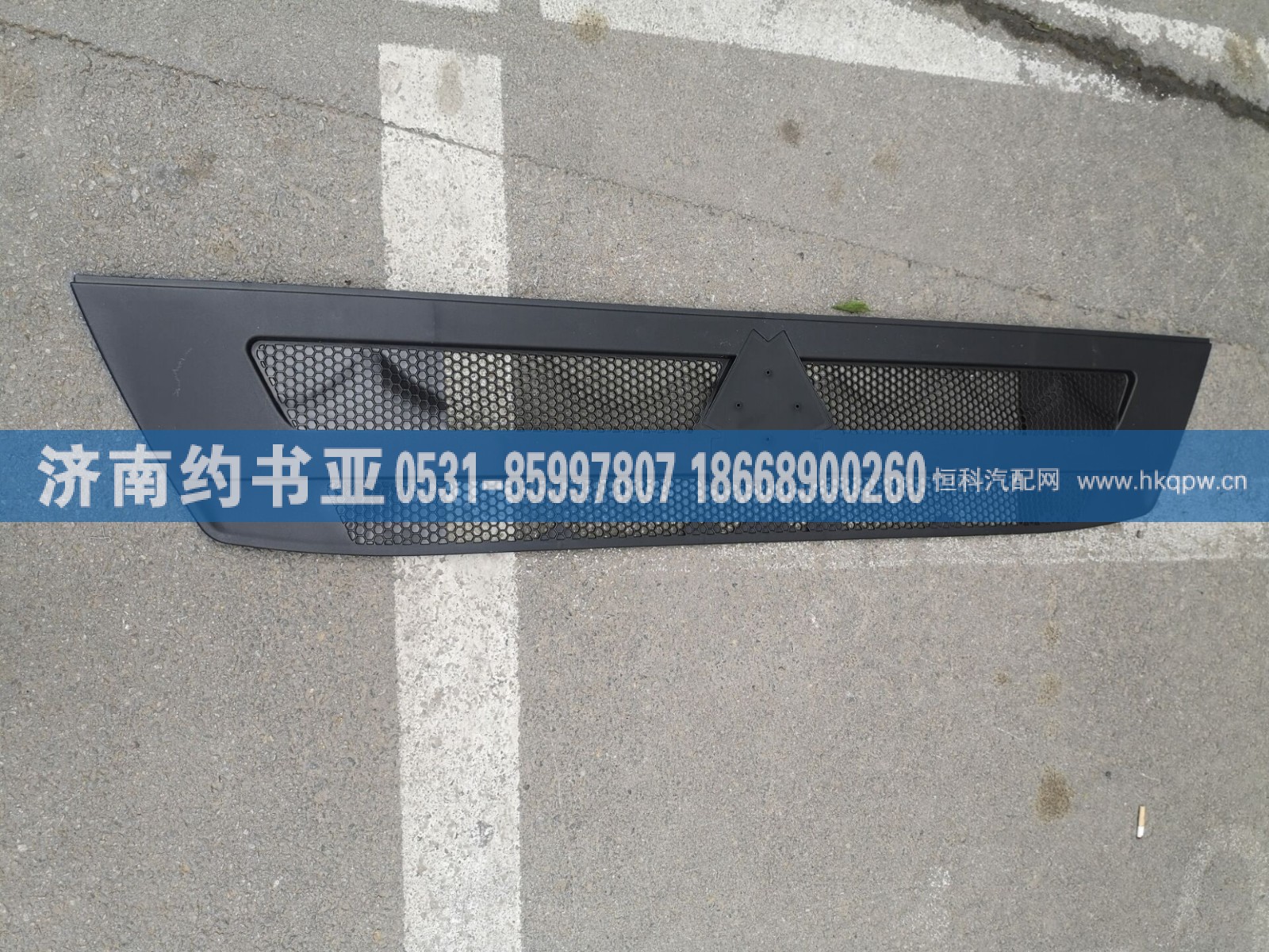 WG1662115016面罩中网