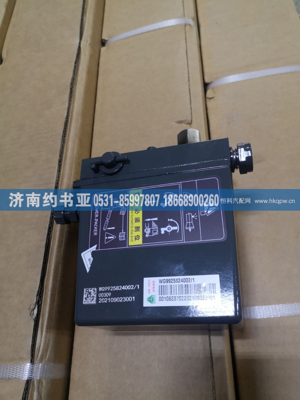 WG9925824002举升泵