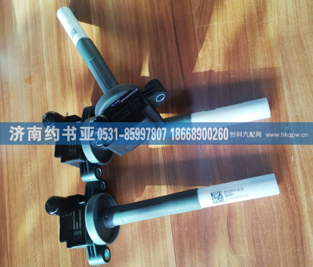202V25919-6007点火线圈