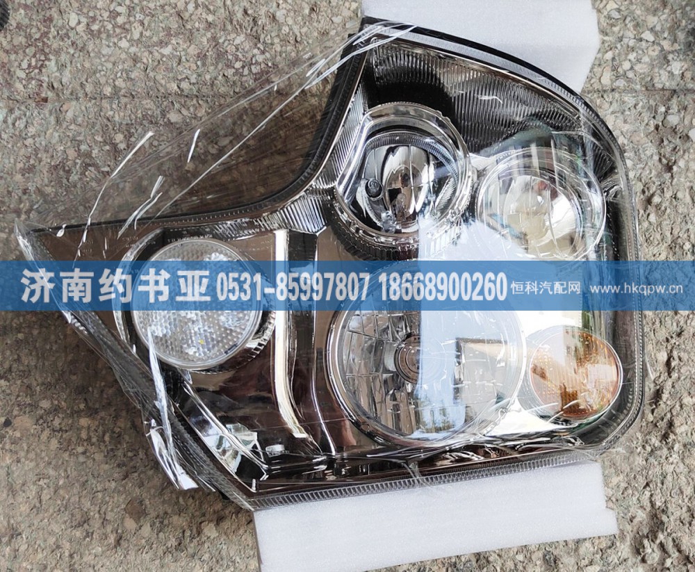 WG9925721012大灯