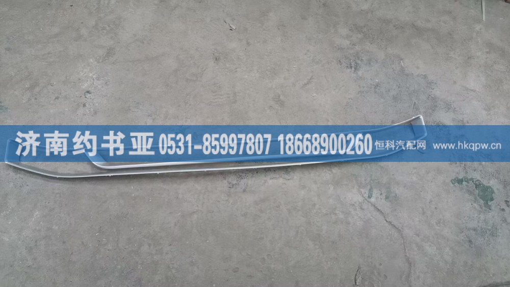 WG1671110134上装饰条