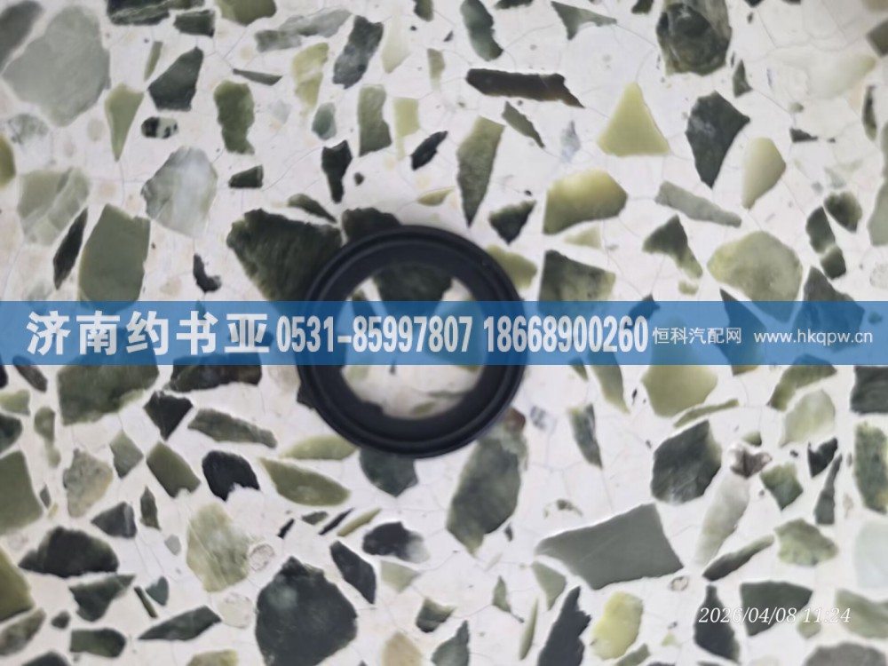 S5558673A2080密封圈