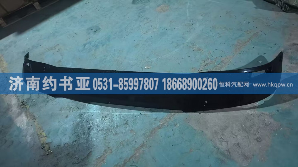 WG1671870010遮阳罩