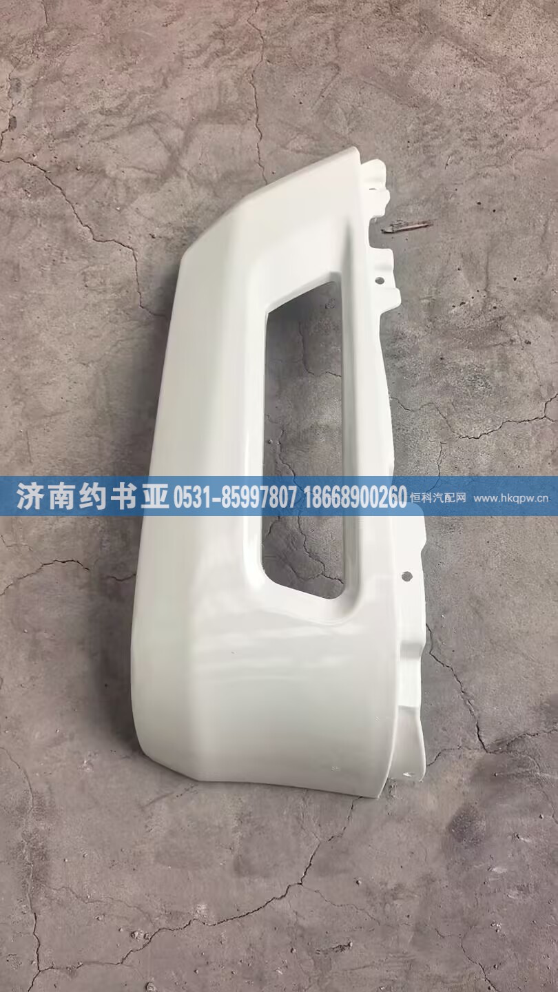 H4831012101A0雾灯框