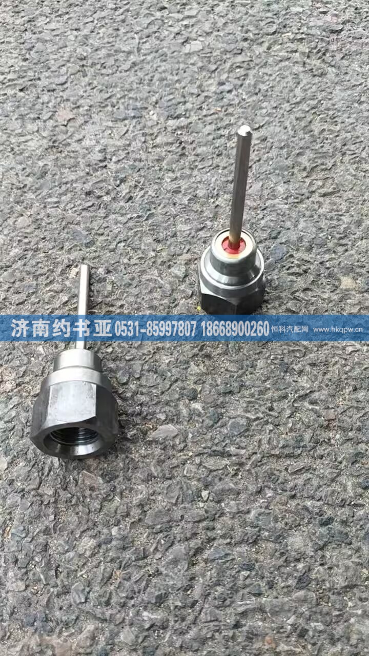 WG2209230010螺母