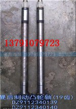 DZ9112340139,后制动凸轮轴,济南海瑞重型汽车经销中心