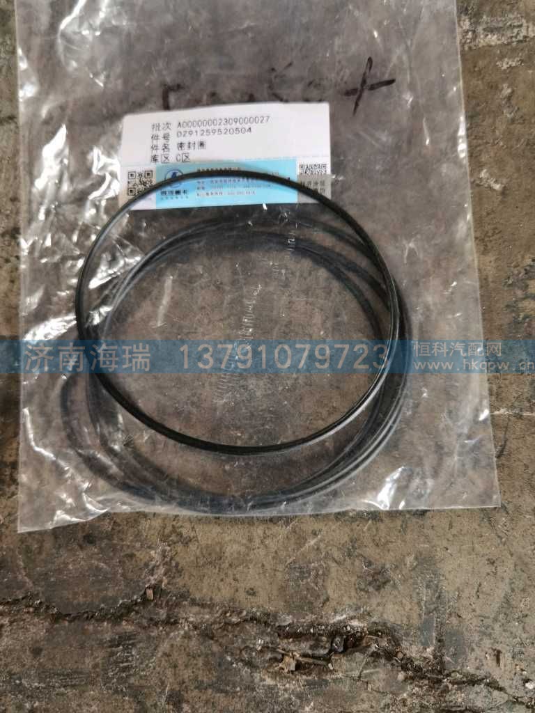 平衡轴油封,DZ91259520504