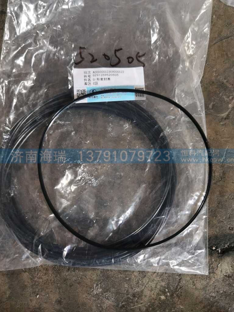 O型圈,DZ91259520505