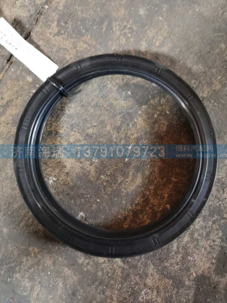 密封圈,DZ91259520512