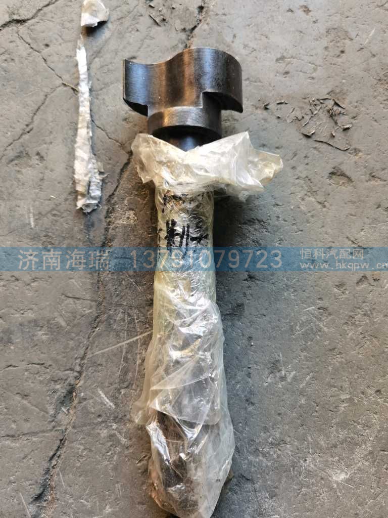 前制动凸轮轴 左,WG9970440021