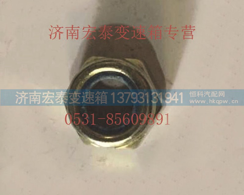 AZ9003881616,六角尼龍圈鎖緊螺母,濟南宏泰變速箱專營店