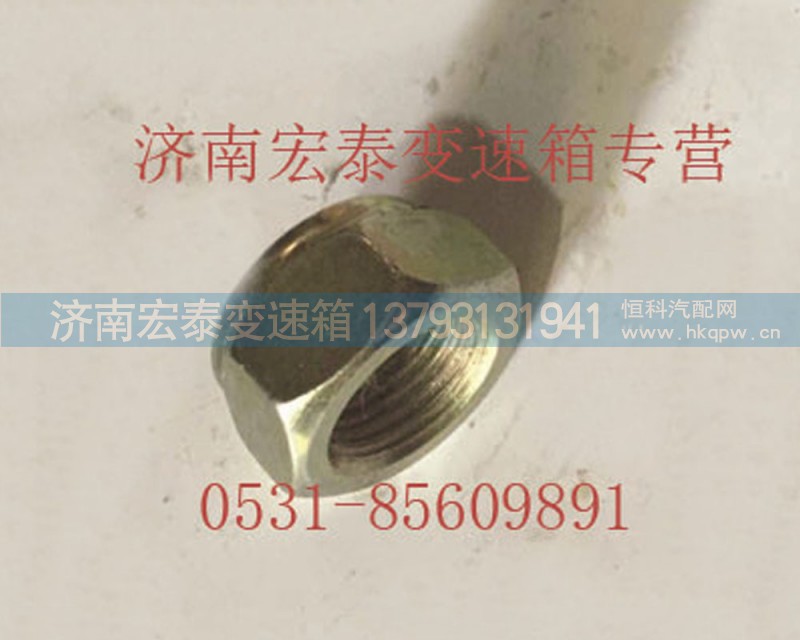 AZ9003881616,六角尼龍圈鎖緊螺母,濟南宏泰變速箱專營店
