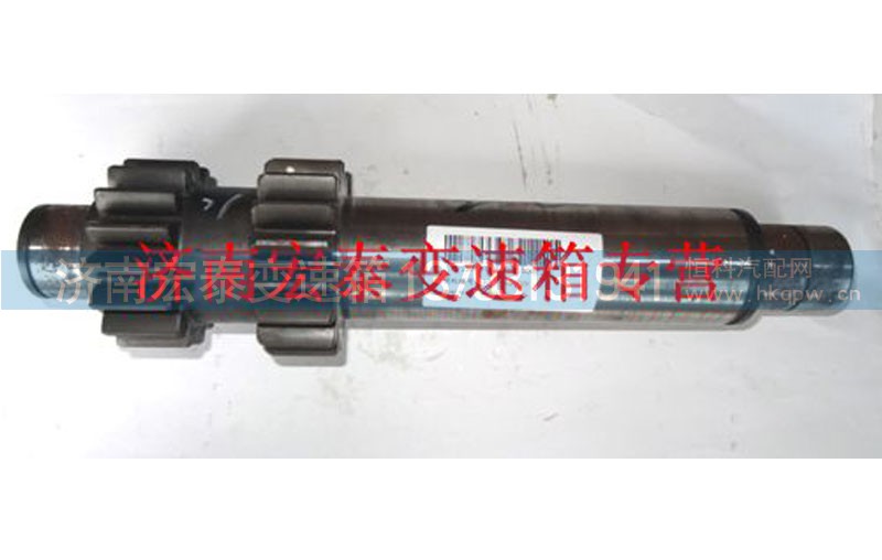 AZ2210030220,副轴（左）,济南宏泰变速箱专营店