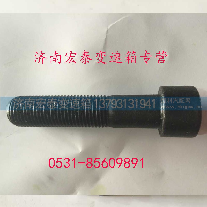 AZ9003821250,内六角圆柱头螺钉,济南宏泰变速箱专营店