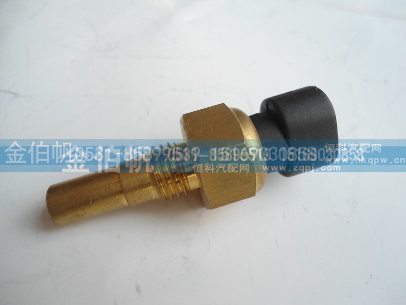 612600060035,潍柴天然气发动机 LNG WP10 612600060035,济南金伯帆汽车配件有限公司