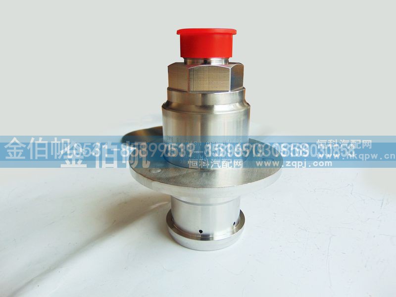 DZ95189560419,低温加液口,济南金伯帆汽车配件有限公司