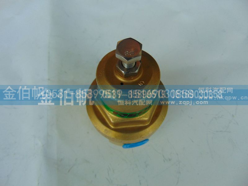 DZ96259560428,增压阀,济南金伯帆汽车配件有限公司